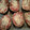 El cooksnap de Alejandra Zgliczynska cuando hizo Berenjena al horno.