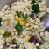 Cooksnap dari anggarita puspita dewi untuk resep Nasi Goreng Jadul