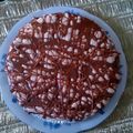 estelle2700's cooksnap of when they made Yummy Peanut Butter Pie (frozen).