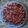 estelle2700's cooksnap of when they made Yummy Peanut Butter Pie (frozen).