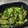 El cooksnap de Marta Mesa cuando hizo Pimientos padron Airfryer.