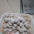 Cooksnap dari Anna untuk resep Putri Salju Tanpa Keju