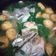 Cooksnap dari Cut Wira Vellia untuk resep Sup Kepala Ikan Salmon