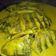 Cooksnap dari Ramona Riyadi untuk resep Gulai ikan nila