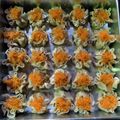 Cooksnap dari Kurnia Kemala Sari untuk resep Dimsum / Siomay Lele