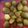 Tan 's cooksnap of when they made Eggnog Cookies.