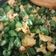 Cooksnap dari Usrox Sanjaya untuk resep Buncis tumis telur