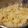 Cooksnap από Λητώ στη συνταγή Πατατοσαλάτα