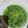 Cooksnap dari Sari Rezeki Harahap untuk resep Daun Ubi Tumbuk Khas Medan No MSG #indonesiamemasak