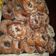 El cooksnap de Diana Leiva cuando hizo Rosquitas.