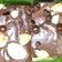 Cooksnap dari Nicholin Cute untuk resep Chewy Brownies Ala Erlina Lim