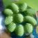 Cooksnap dari IKa Fitria Islamia untuk resep Cookies Ulat Daun