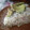 El cooksnap de Mary Galvan cuando hizo Pastel azteca🌹.