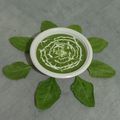 Riddhi Dholakia's cooksnap of when they made ક્રીમ ઓફ પાલક સૂપ (Cream of Palak Soup Recipe In Gujarati).