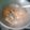 Cooksnap dari helba untuk resep 29. Mangut Lele