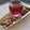 Ranjan Kacha's cooksnap of when they made રેડ એવરગ્રીન (Red Evergreen Recipe In Gujarati).