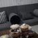 Cooksnap dari Djakia Sahara untuk resep Oreo Cream Cheese