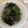 Cooksnap dari Jennifer Steffany untuk resep Miyeokguk 미역국 - Korean Seaweed Soup