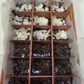 Cooksnap dari Heni Absari untuk resep Fudge Bronis Panggang