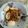 Cooksnap dari rina untuk resep 171. Mie Goreng Manis (Tiam Mi khas Pontianak)