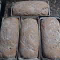 El cooksnap de seleyashugo cuando hizo Pan de molde 100% integral.