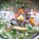 Cooksnap dari Nita untuk resep Sop Daging dan Tulang Kambing Kuah Bening