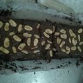 Cooksnap dari kartika88 untuk resep Fudge Brownie / Fudgy Brownie (Brownies Panggang)