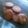 El cooksnap de Katherine Y Derek cuando hizo Galletas de vainilla con chispas de chocolate.
