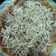 Cooksnap dari Keira Shaqueena untuk resep Pizza tanpa telur tanpa oven