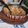 El cooksnap de Lucre Seveso cuando hizo Arroz meloso de setas con puerro.