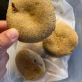 El cooksnap de Melina Pedutto Vivenzi cuando hizo Galletitas de naranja aptas bebé + de 6 meses.