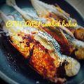 Cooksnap Norida Alias semasa beliau membuat Ikan Cencaru Sumbat Sambal.