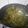 Charusheela Prabhu's cooksnap of when they made शेपू भाजी (shepu bhaji recipe in marathi).