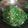 Cooksnap dari Ninna Yarroh untuk resep Tumis Daun Labu Siam