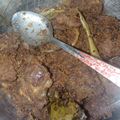 Cooksnap dari Ainun Rahman untuk resep Dendeng Ragi(Daging sapi)