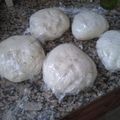 El cooksnap de Dolores cuando hizo Masa de pizza para freezar.