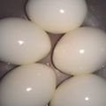 Pam (Pammie) ~ Livetoride ~♥'s cooksnap of when they made 