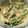 Sonal Modha's cooksnap of when they made લીલાં મરચાં નું રાઇતું (Green Macha Raita Recipe In Gujarati).