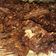 Cooksnap dari munil untuk resep Empal Sapi Goreng Garing