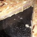 El cooksnap de Cielo Aymi cuando hizo Tortilla de papas rellena c/jamón y queso sin aceite.