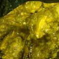 Cooksnap dari Aida Sari untuk resep Ayam Sambal ijo Simple