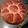 El cooksnap de ymogue cuando hizo Brioche.