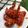 Cooksnap dari Evelyn Henrietta untuk resep Dakgangjeong (Korean Spicy Chicken Wings)