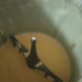 El cooksnap de Monica Godoy cuando hizo Crema pastelera en MC.