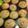Maureen 😀's cooksnap of when they made Cranberry Orange Muffins.