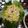 Maha Faraz's cooksnap of when they made Russian Salad 🥗🥗.