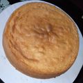 Meelah and Meemi's Kitchen's cooksnap of when they made Vanilla cake recipe.