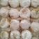 Cooksnap dari Agita Maulidia untuk resep Kue putri salju teflon,NO OVEN,NO MIXER nyess di mulut
