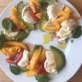 Sophie V.'s cooksnap of when they made Mango-Mozzarella.