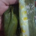 Cooksnap dari mamakirankarin untuk resep Lemet jagung manis😁